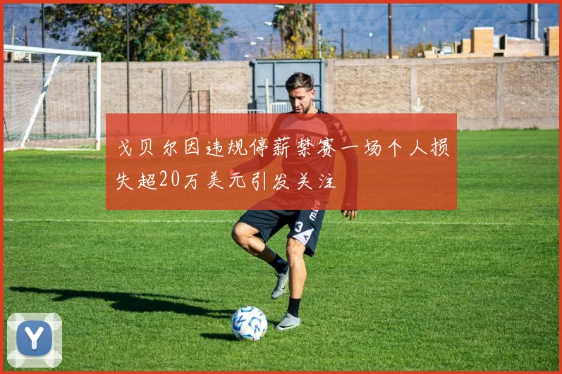 戈贝尔因违规停薪禁赛一场个人损失超20万美元引发关注
