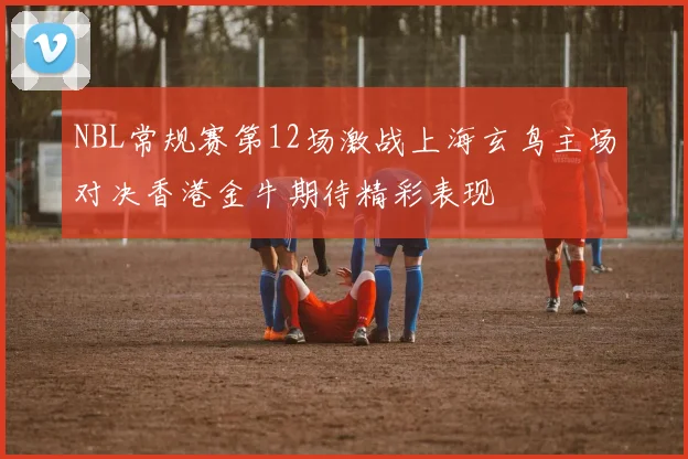 NBL常规赛第12场激战上海玄鸟主场对决香港金牛期待精彩表现