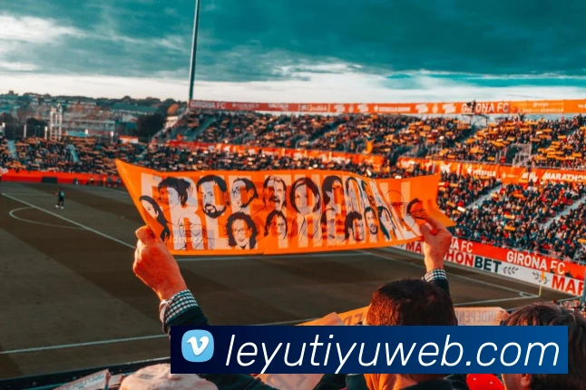 乐鱼体育服务体系