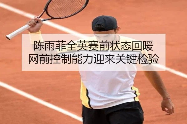 陈雨菲全英赛前状态回暖 网前控制能力迎来关键检验 - leyu